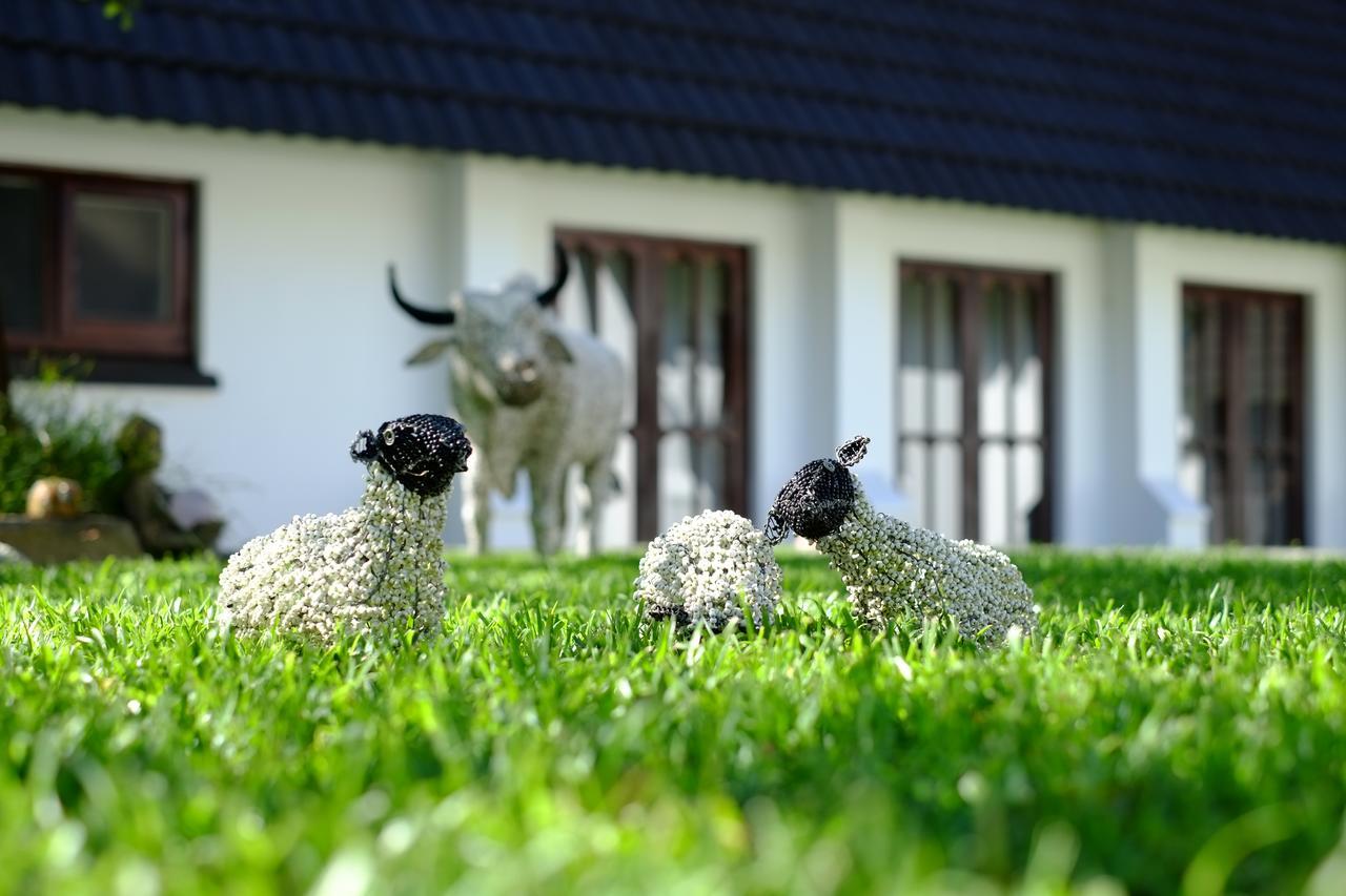 Kilmorna Manor Guest House Shoemanskloof 外观 照片